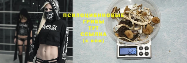 гидра Алексин