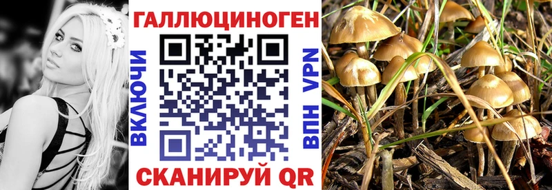 Галлюциногенные грибы MAGIC MUSHROOMS  Стародуб 
